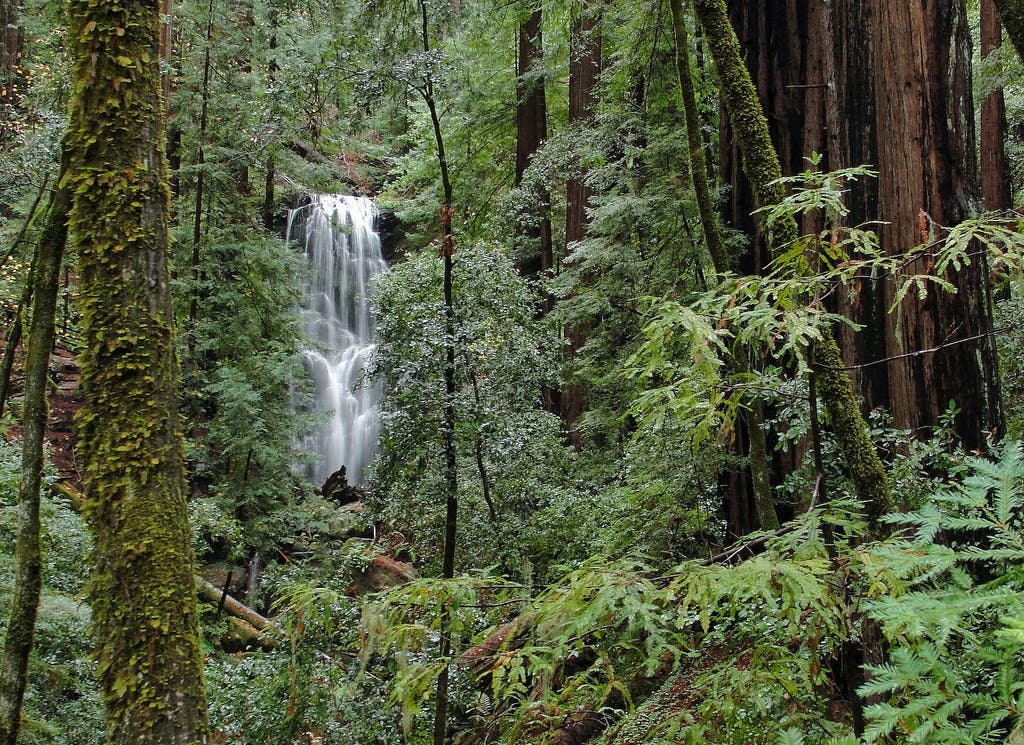 berry creek falls None