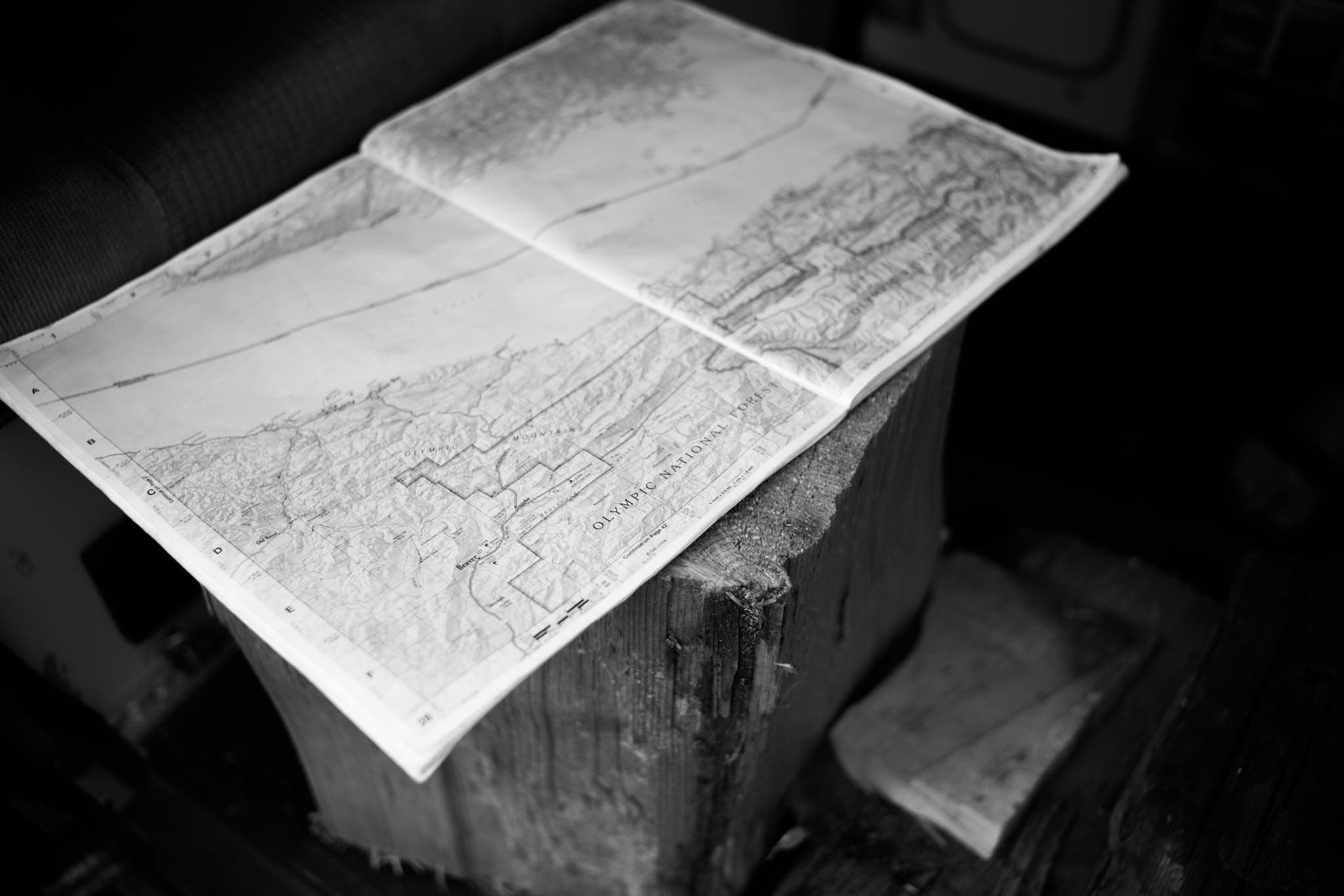 _DSC1754 100 days outdoors - Day 60 - map on stump