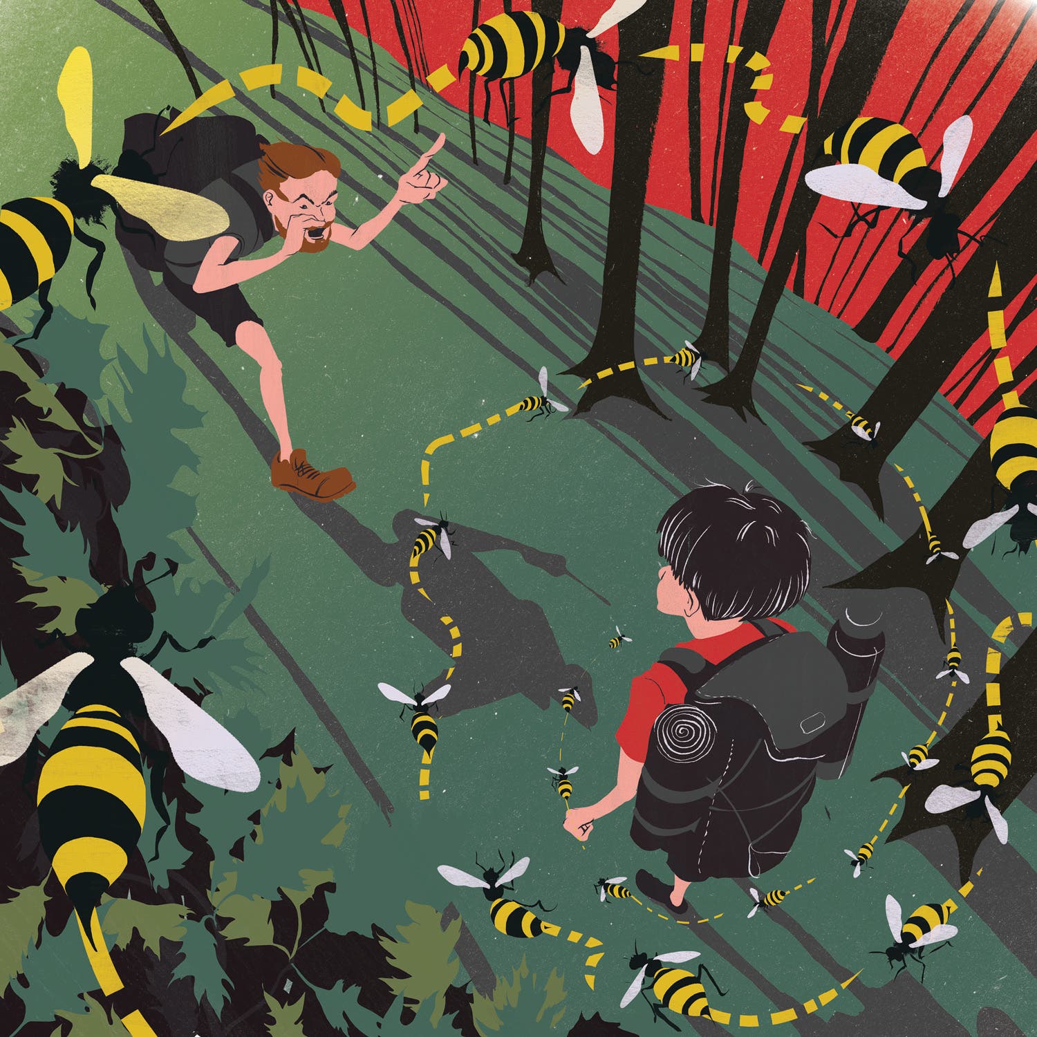 Hikers vs. Bees