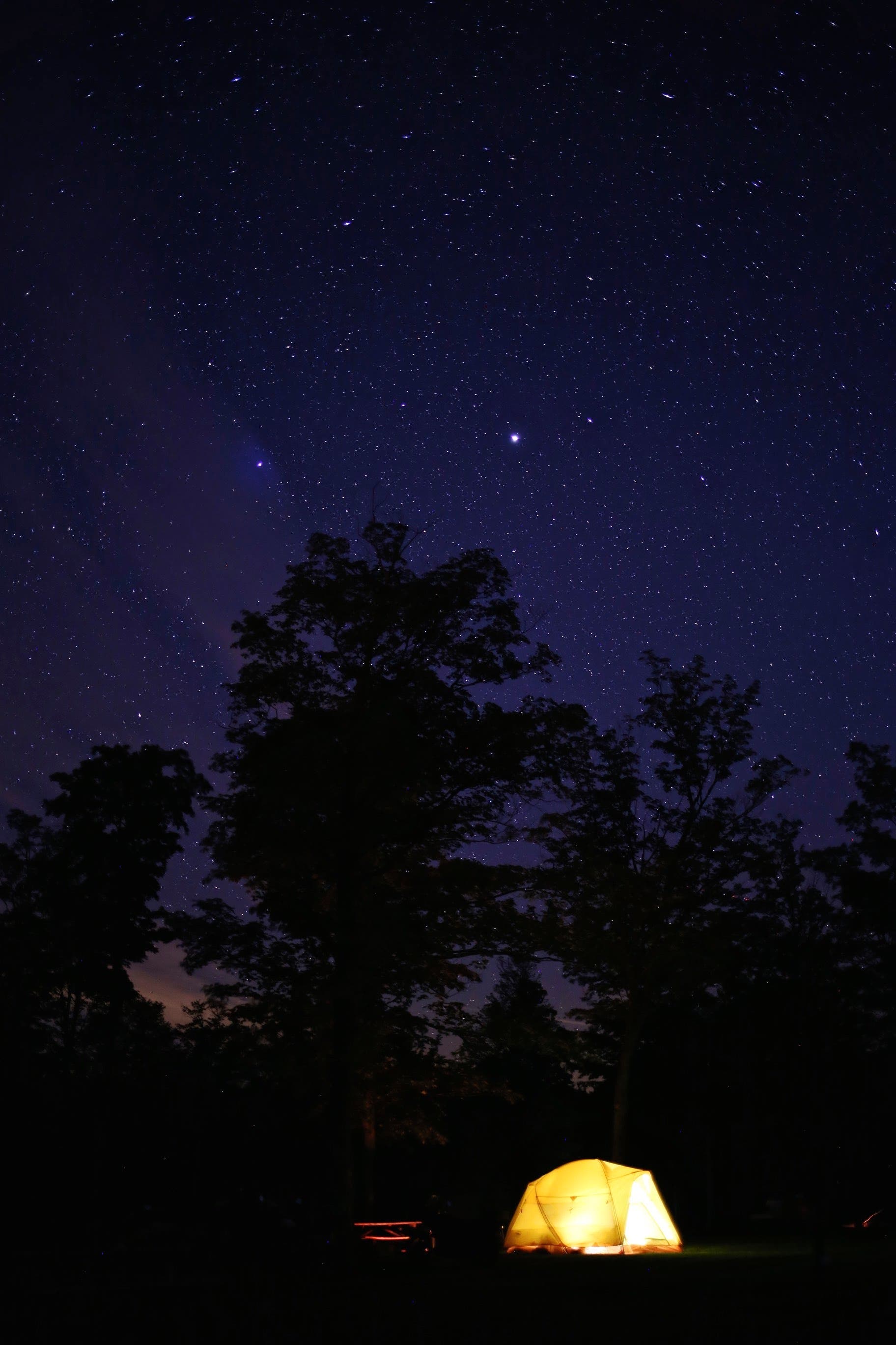 Sebestyen_Tioga_IMG_6724 None