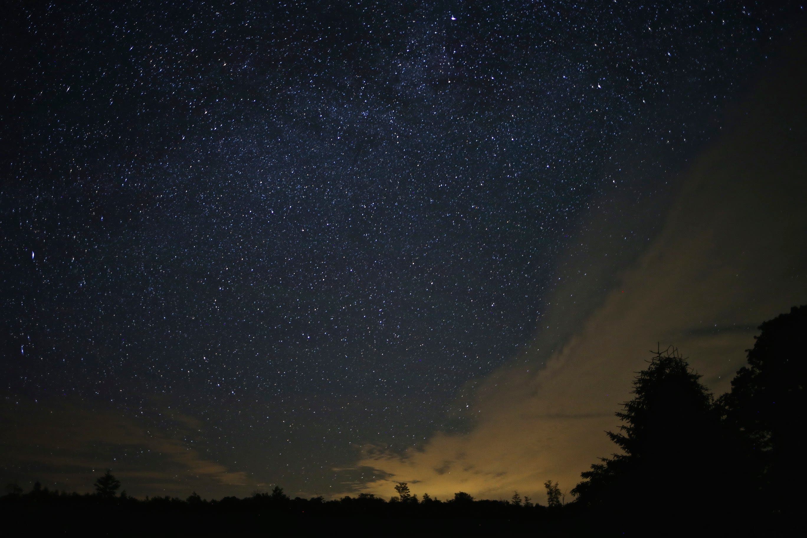 Sebestyen_Tioga_IMG_6732 None