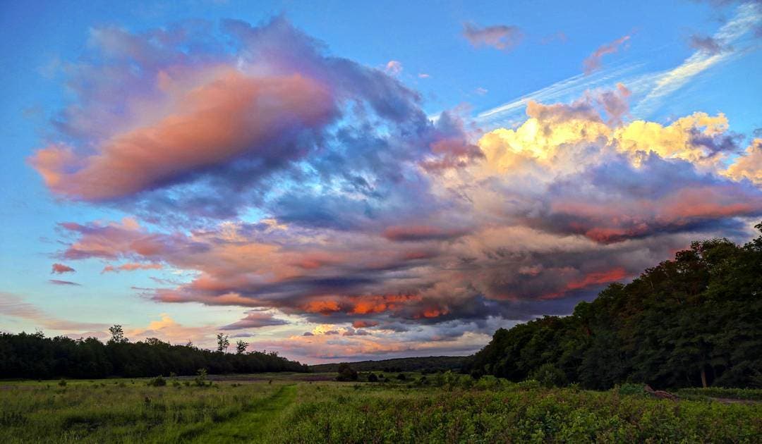 Sebestyen_Tioga_n None