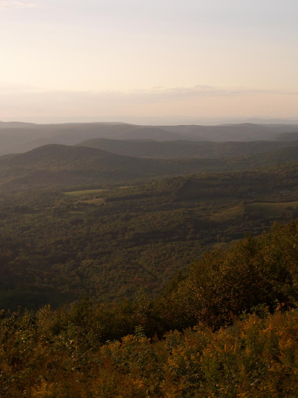 "Looking toward Albany"