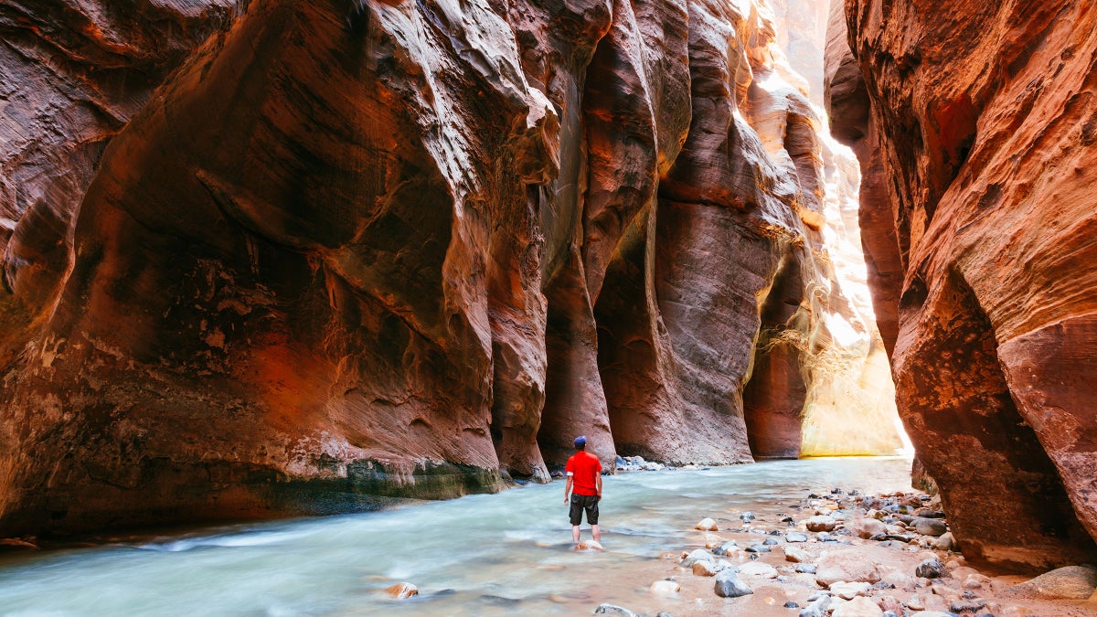 NextImg:Permits In Zion Could Soon Cost More—A Lot More