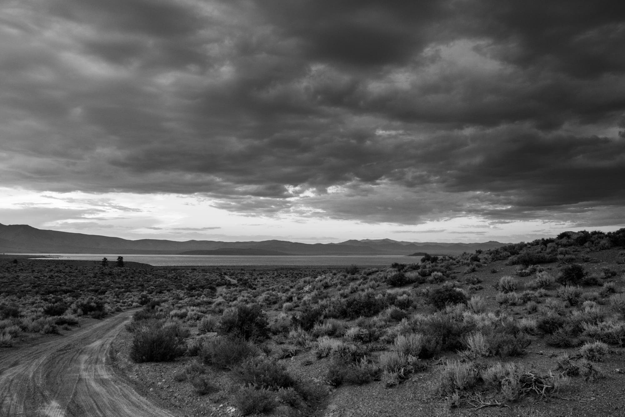 100days-Montana-DramaticSunset None