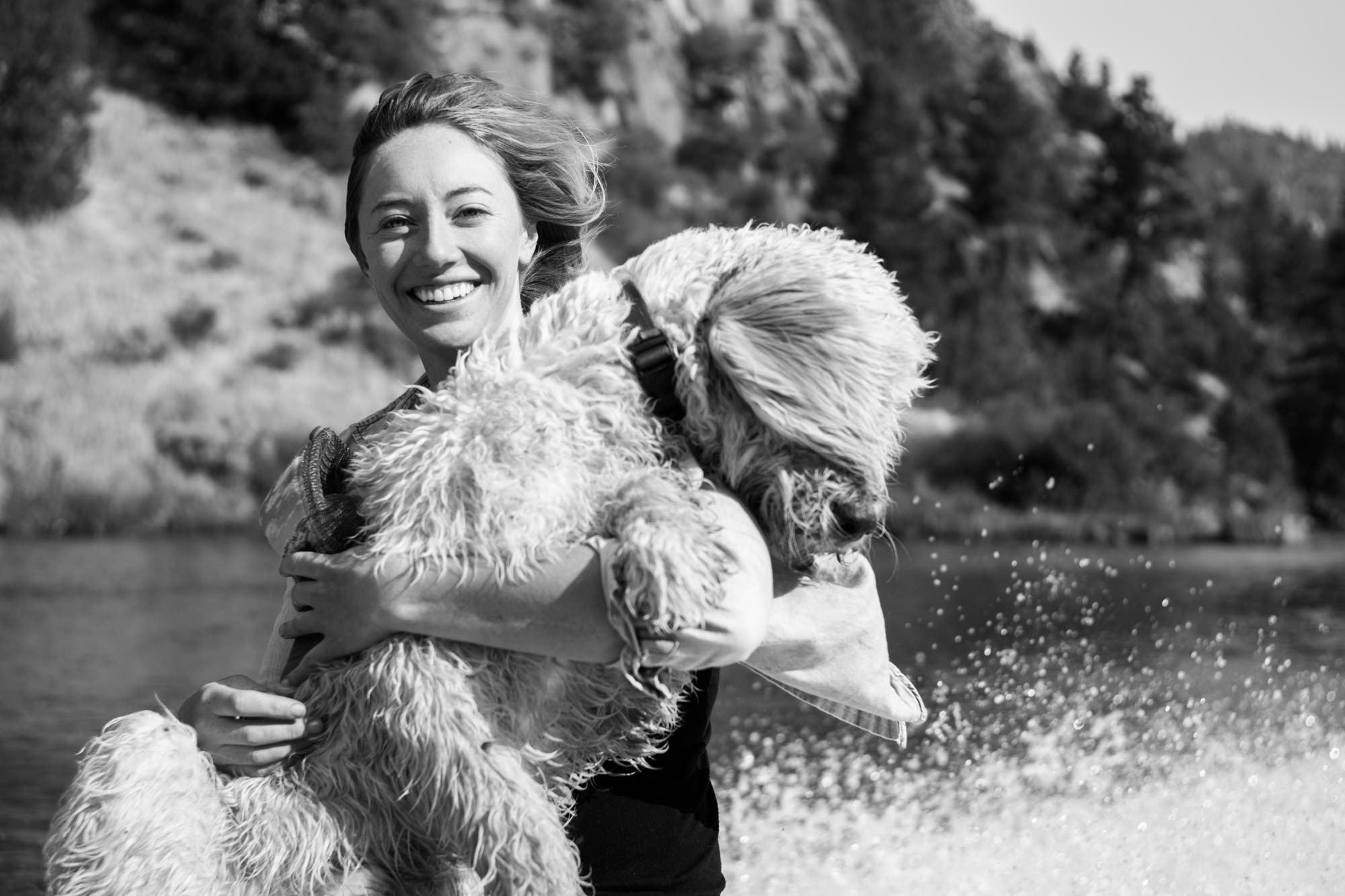 100days-MontanaWaterDog None