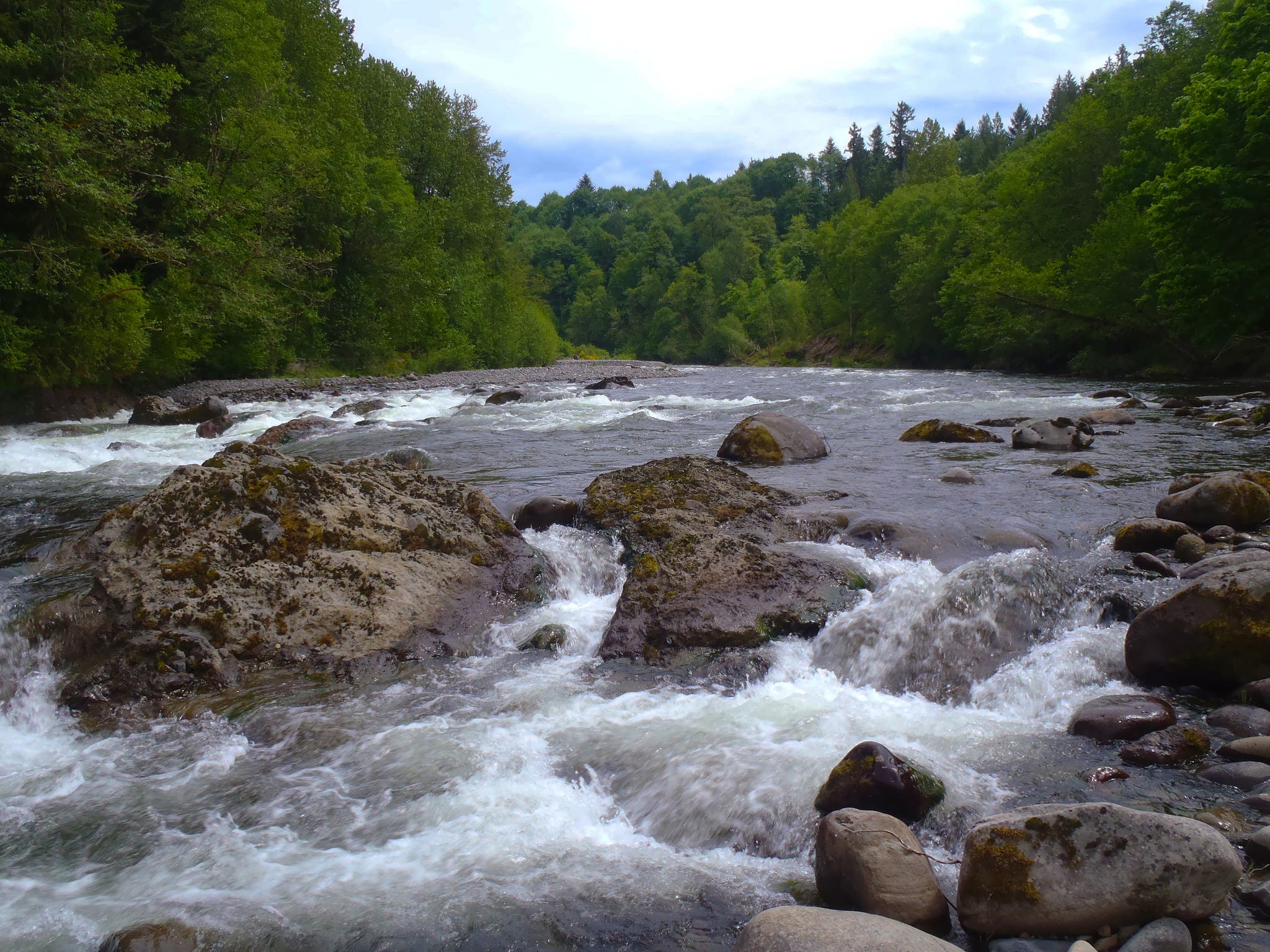 14412836388_5907b9421b_k sandy river