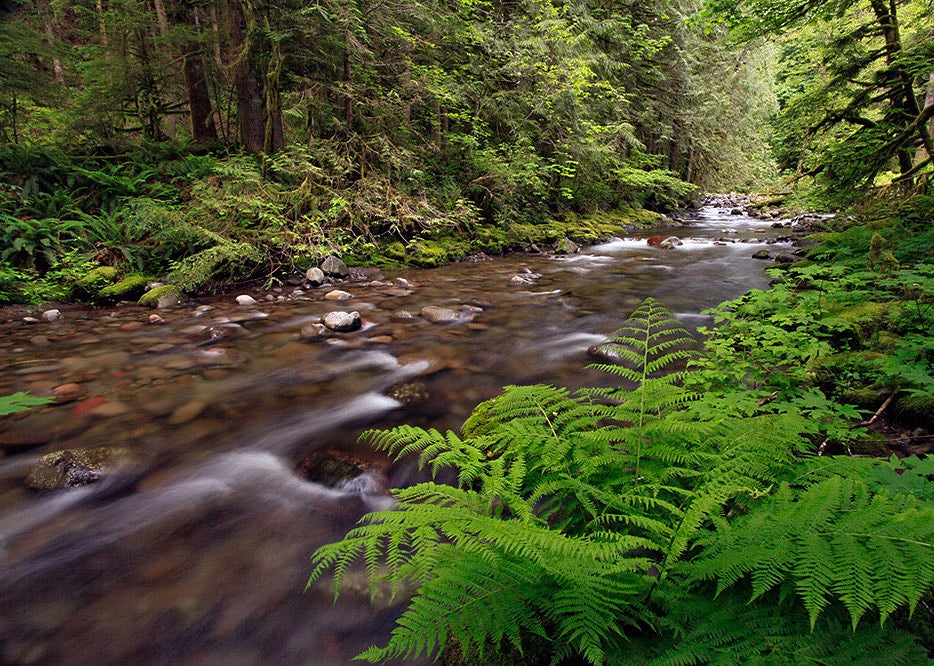 the-land-and-water-conservation-fund-is-in-danger