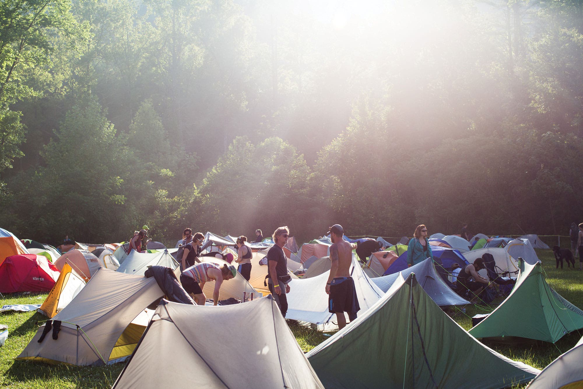 trail daze campground