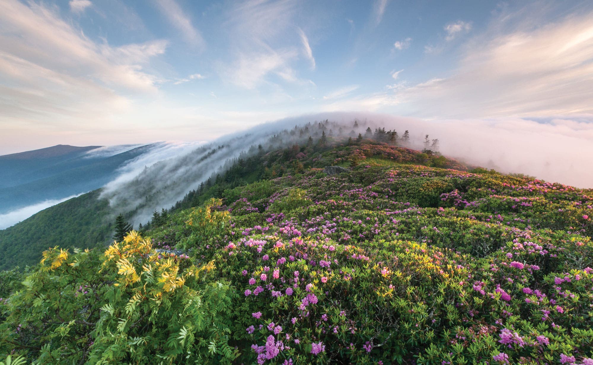 "Roan High Knob Shelter hut"
