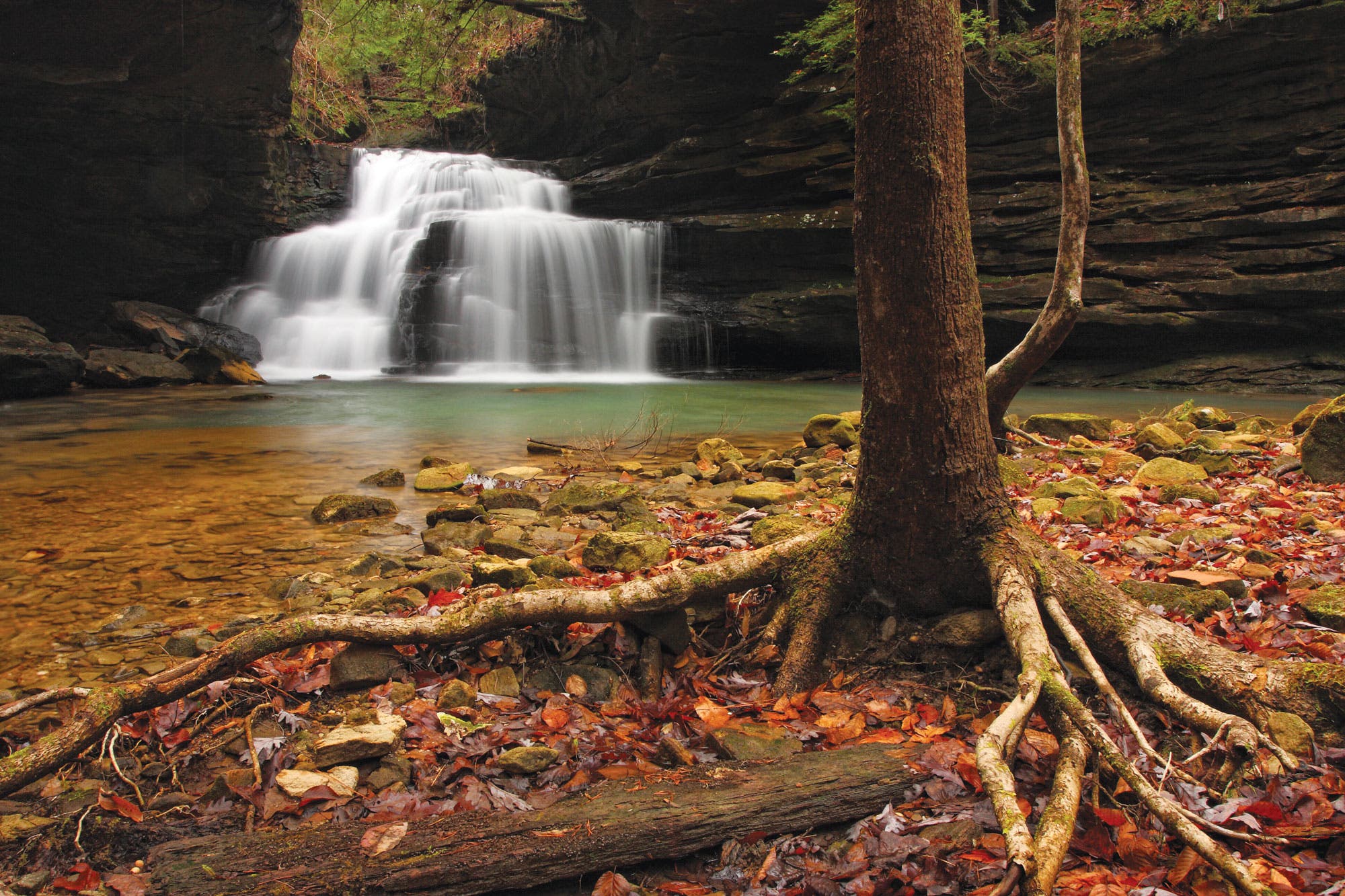 Fall Hiking in the Bankhead National Forest, Alabama