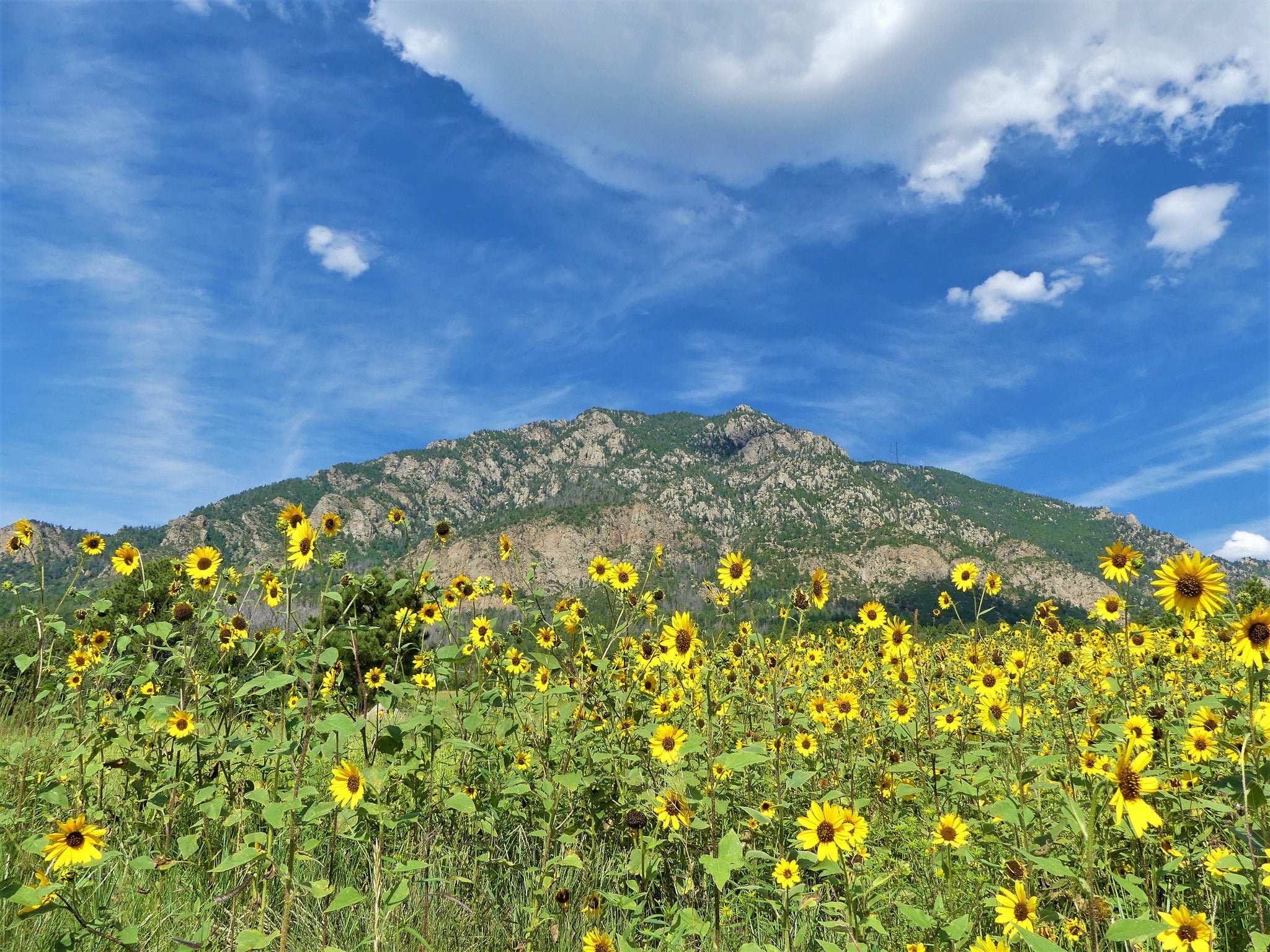 "Late summer at Cheyenne Mountain State Park"