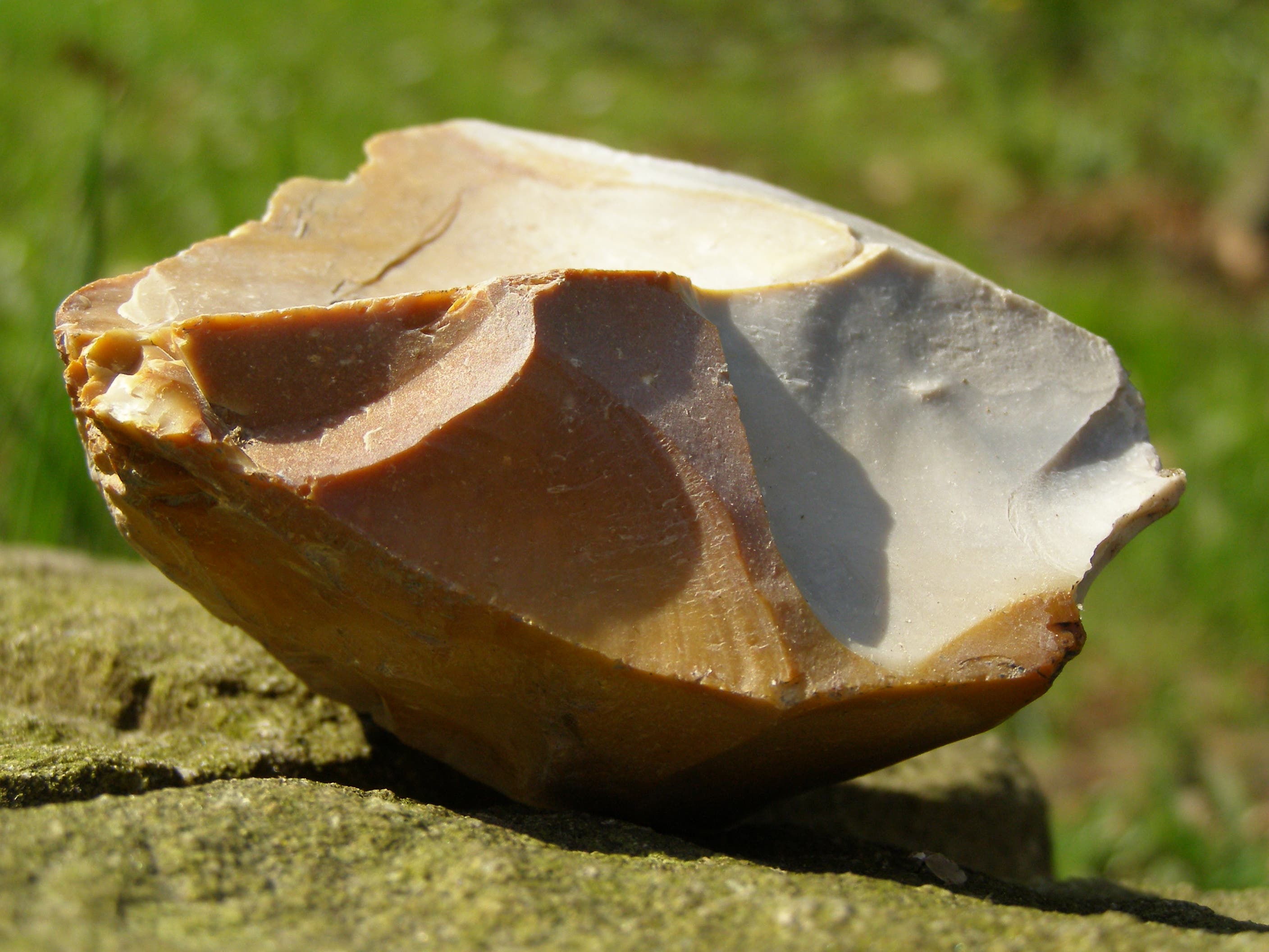 Hardigree Fall Rendezvous Features Knifemaking, Survival, and More