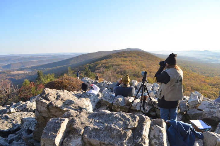 10620003614_bd79426997_o Hawk Mountain Sanctuary, PA 1-mile Lookout Trail. Each fall, an average 18,000 migrating birds fly over Hawk Mountain Sanctuary, including…