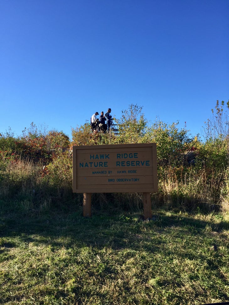30077958125_81f9388551_o (1) Hawk Ridge Nature Reserve, MN: 1.5-mile Ridge Loop Trail. Near the western tip of Lake Superior in Duluth, Minnesota, the Hawk Ridge Nature Reserve…