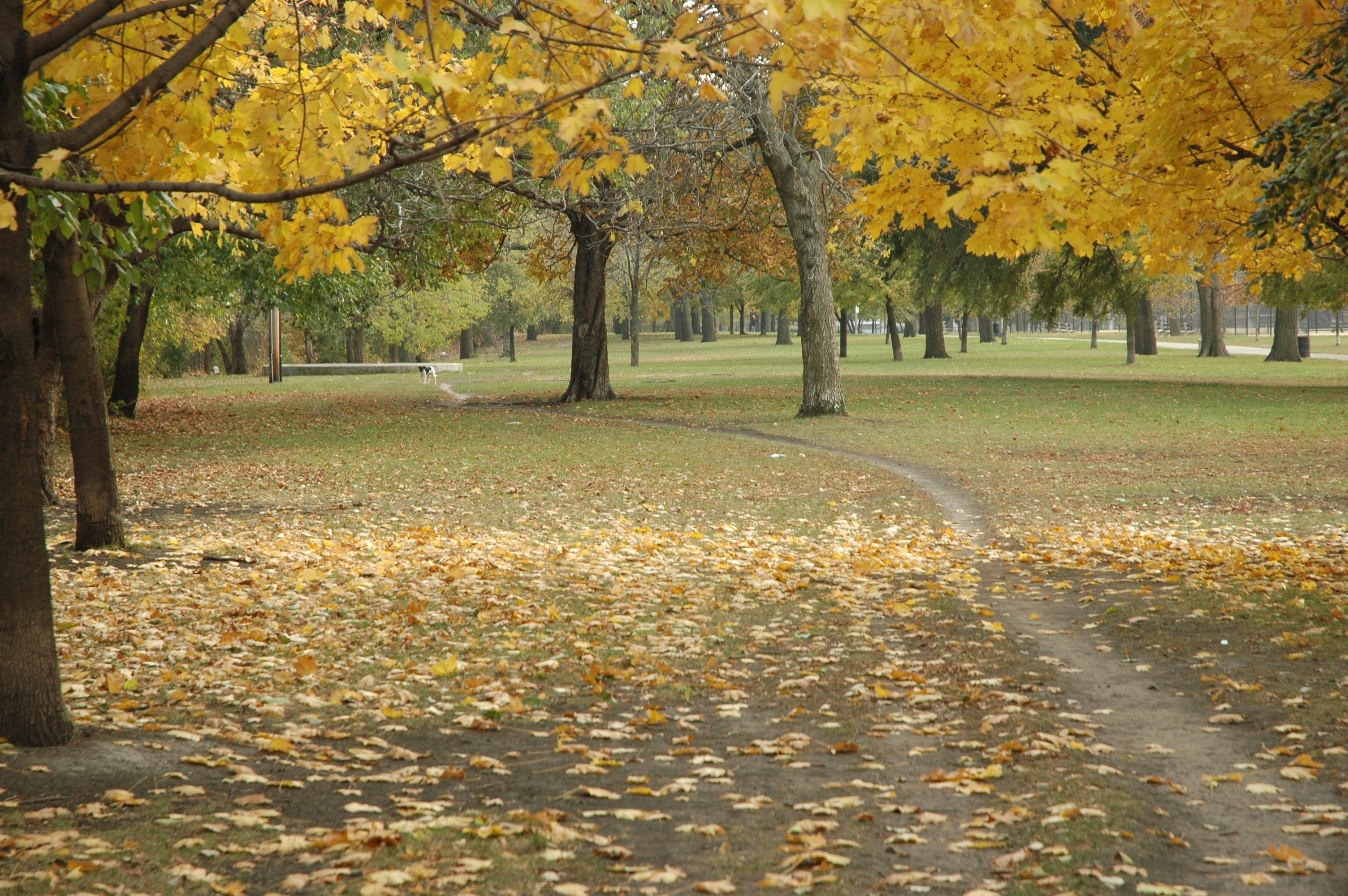 "Horner Park Chicago"