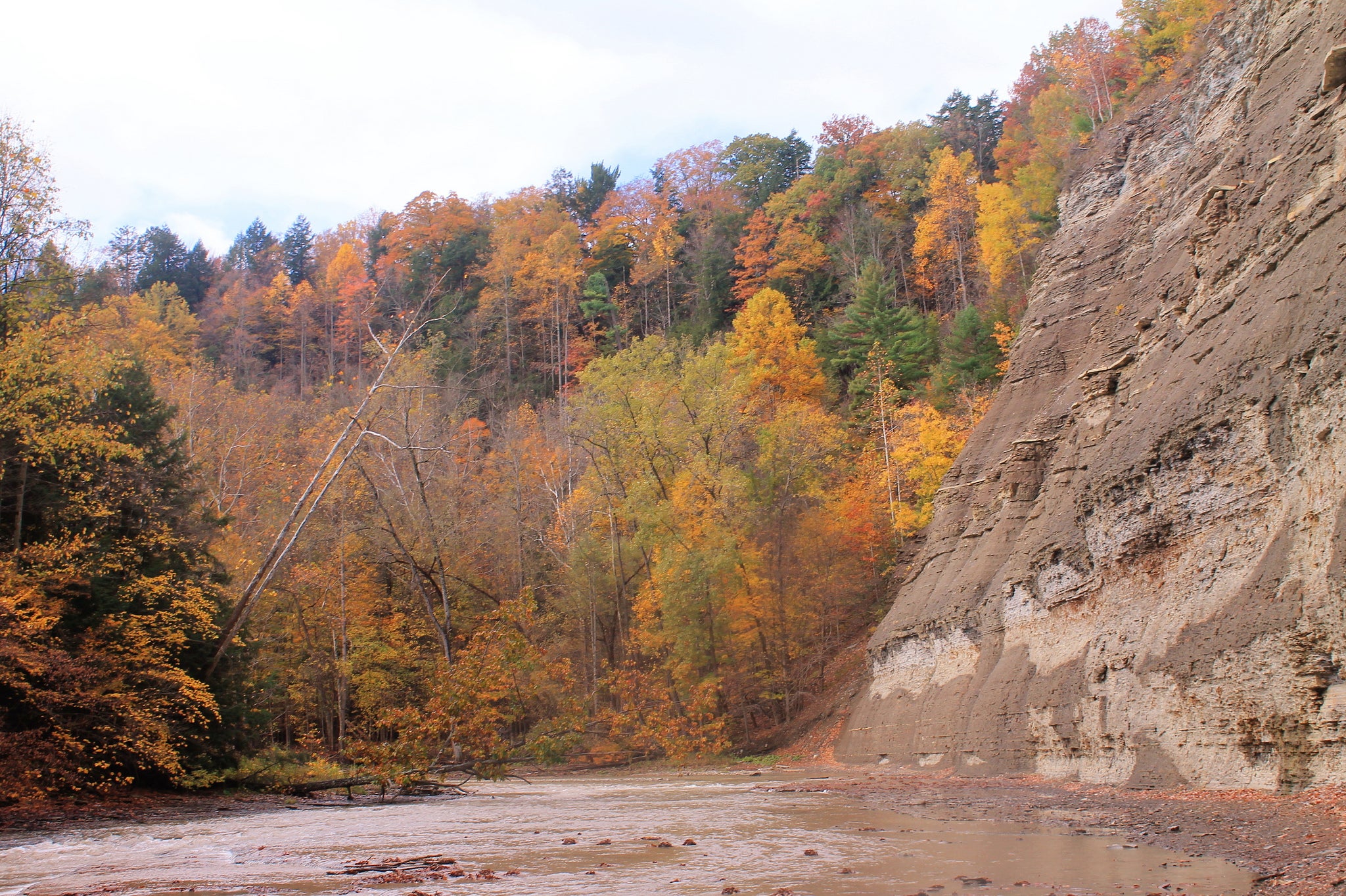 "Zoar Valley Gorge"