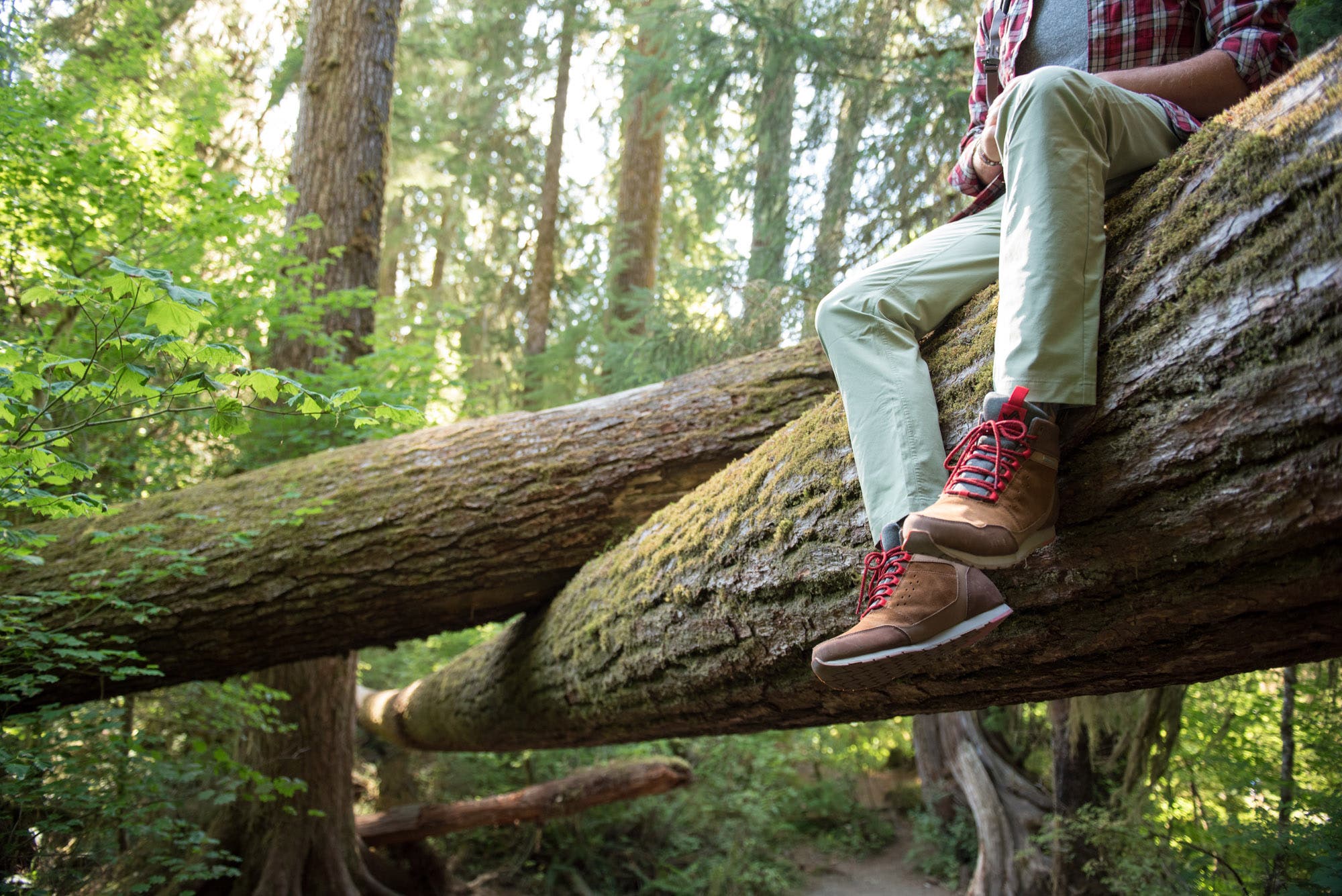 forsake cyber monday