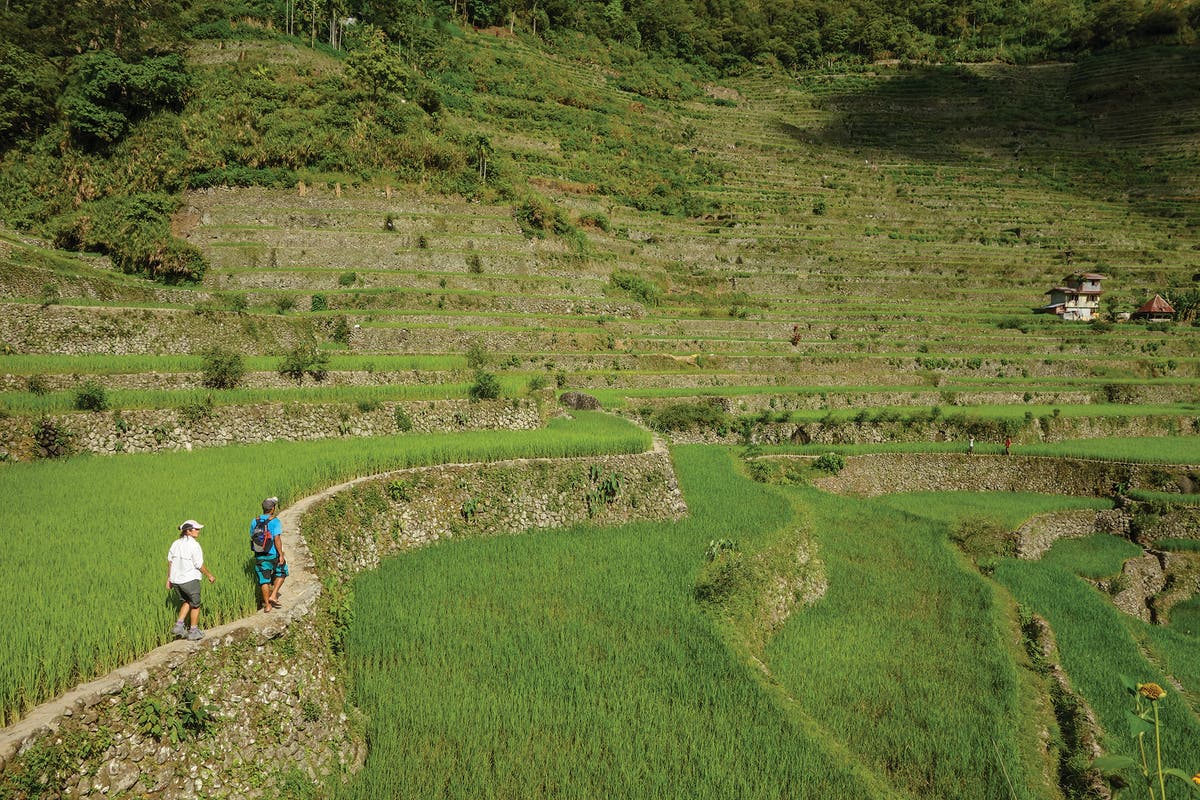 Trek Through the Ifugao Rice Terraces in the Philippines