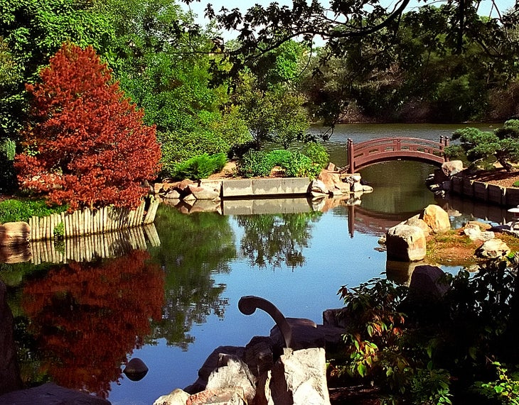 jackson park None
