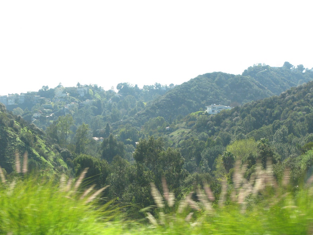 Conservation Groups Buy a Ridgeline in Laurel Canyon