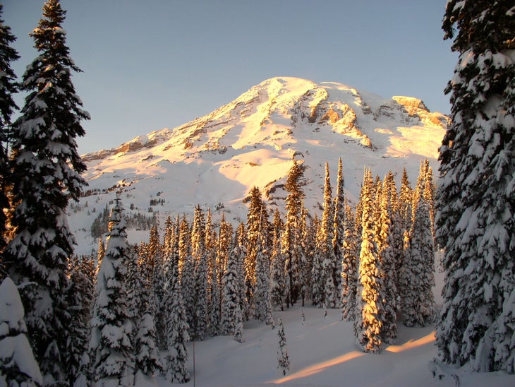 rainier winter None