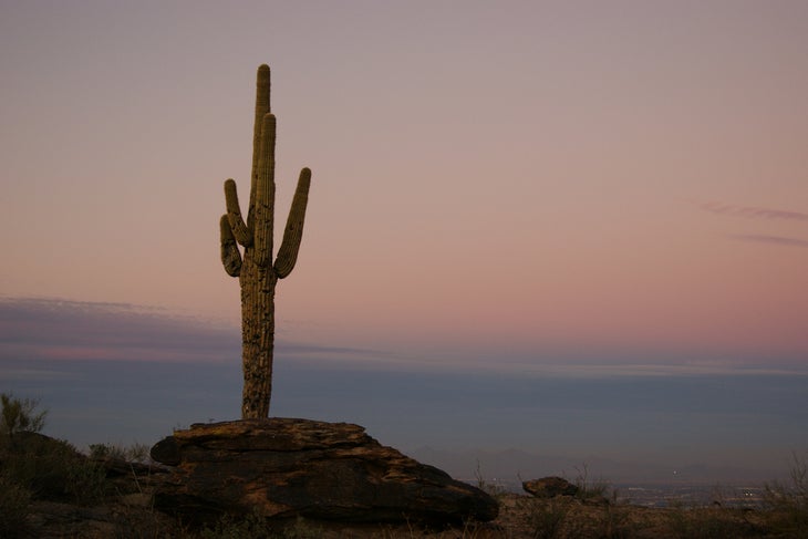 south mountain park None