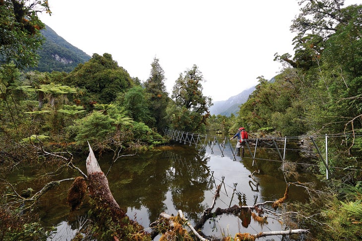 Dusky Track walkwires in New Zealand