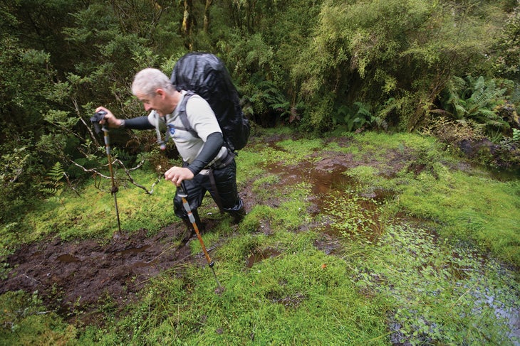 Spey River Valley in New Zealand