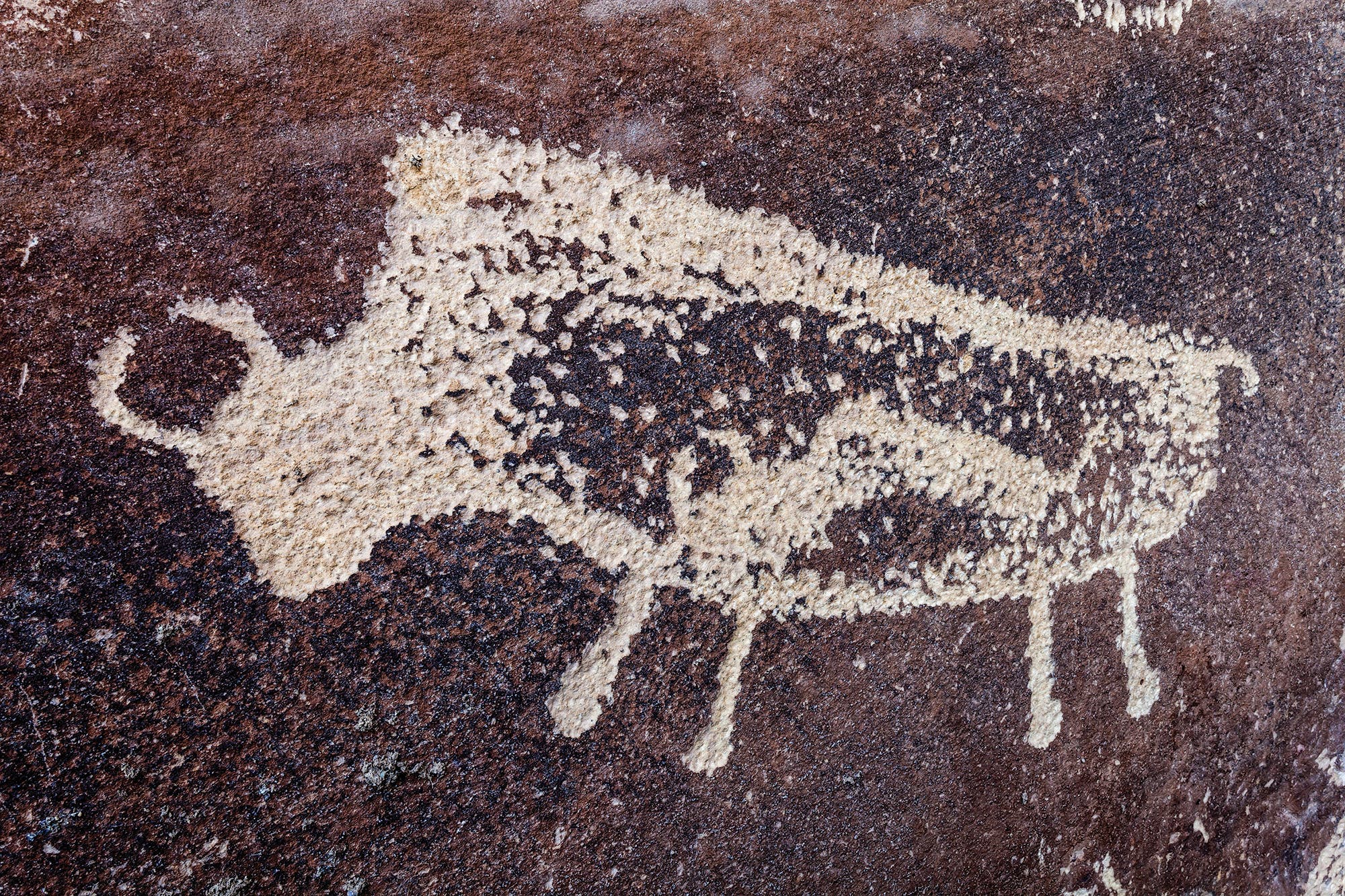 BP0314FEAT_SAVEIT_NineMileLindahl_gn Nine Mile Canyon save trails