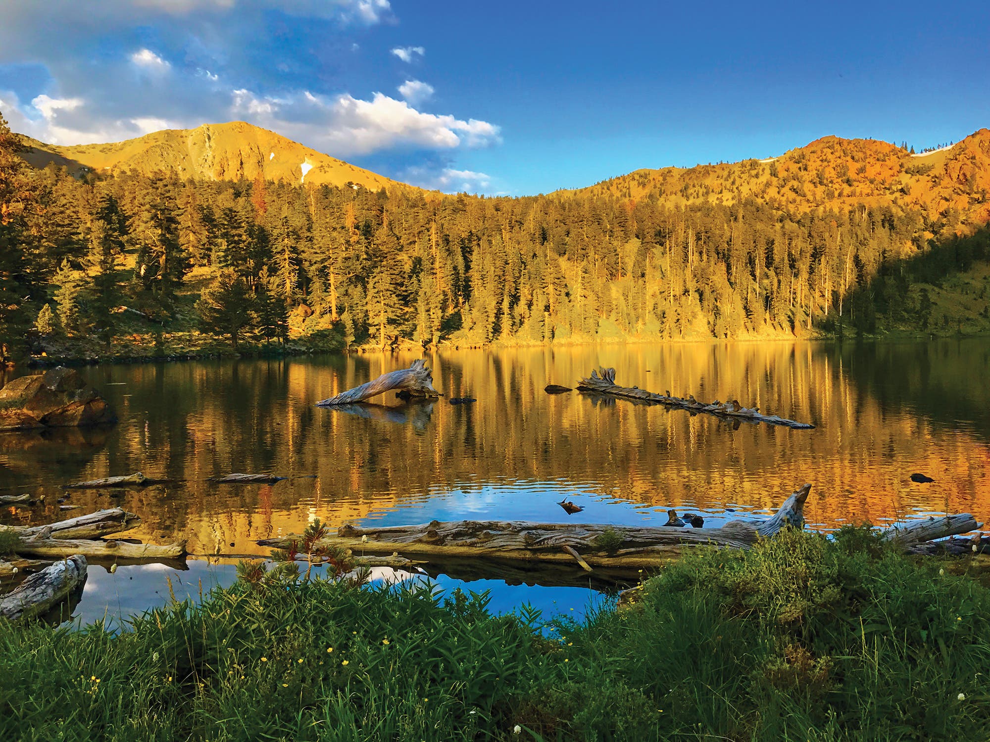 Pacific Crest Trail save trails