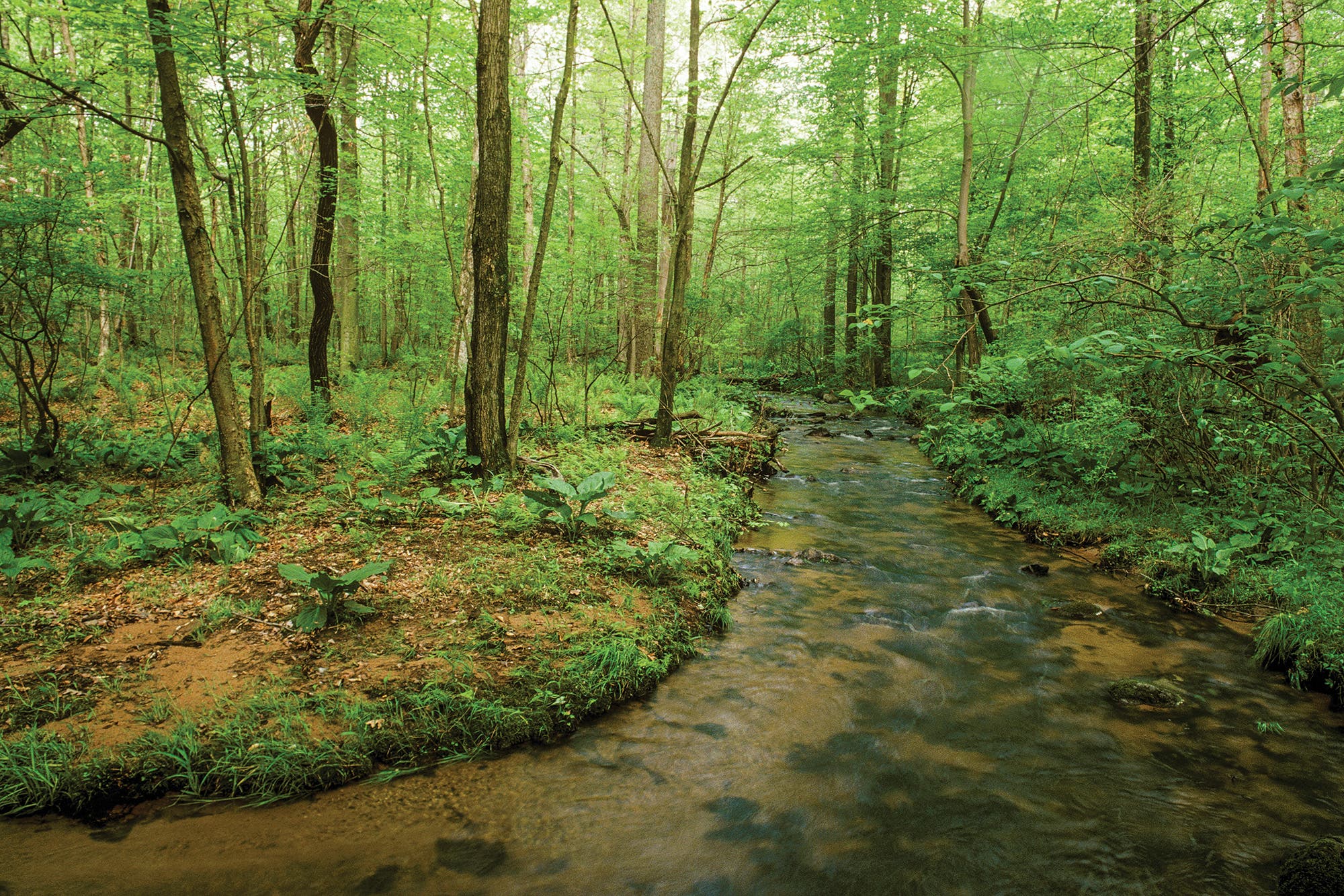 BP0318FEAT_BUILDIT_AgeFotoAAES52514_gn Pennsylvania Highlands Trail building trails