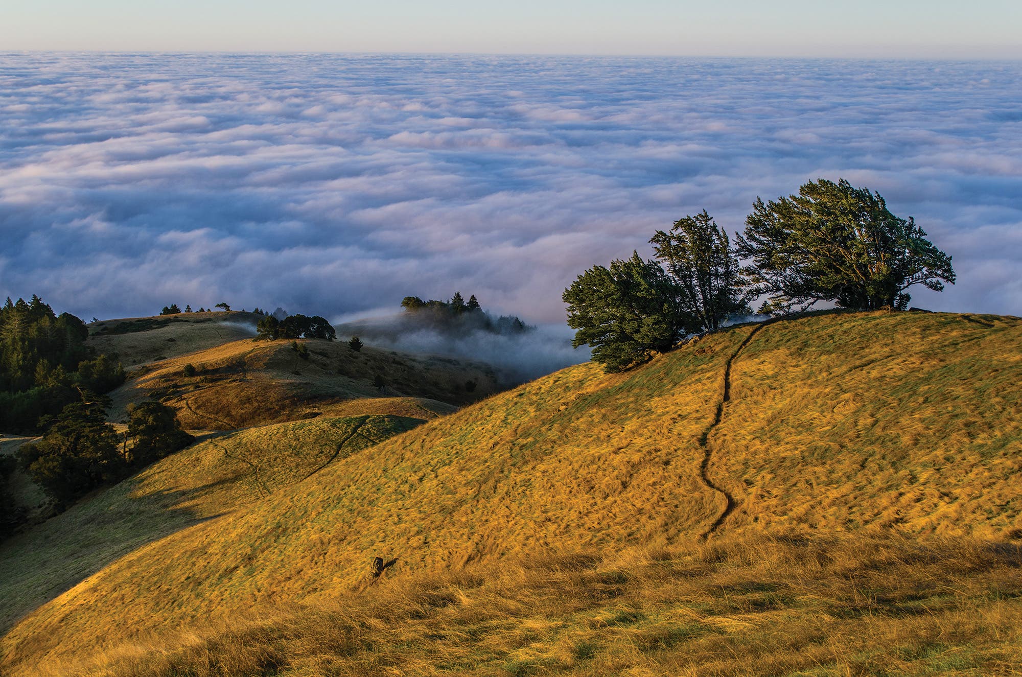 BP0318FEAT_BUILDIT_TamalpaisSunrise_gn Bay Area Ridge Trail building trails