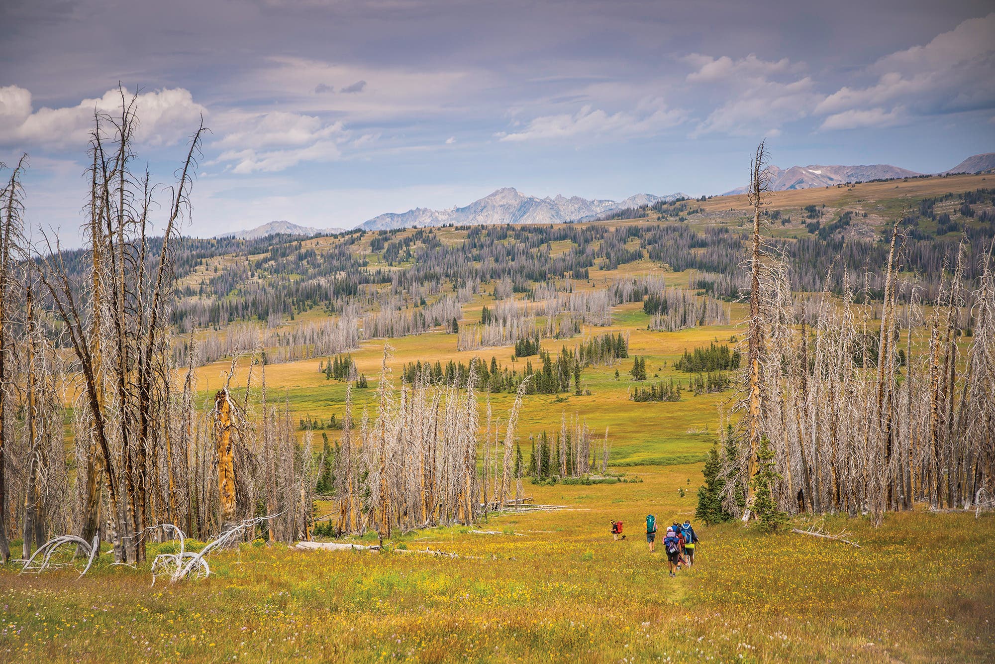 BP0318FEAT_BUILDIT_ZirkelNWETZEL1655_gn Continental Divide Trail - building trails