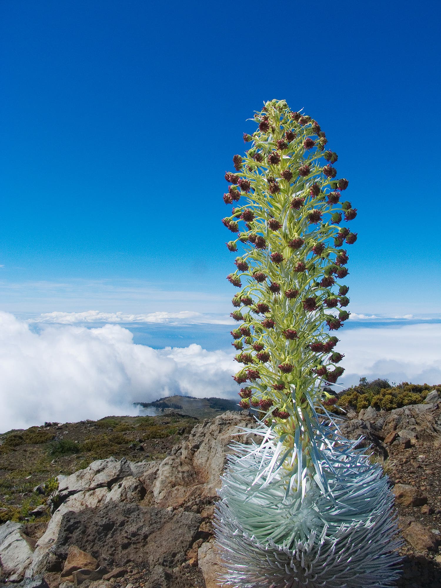 Hawaii trails to see