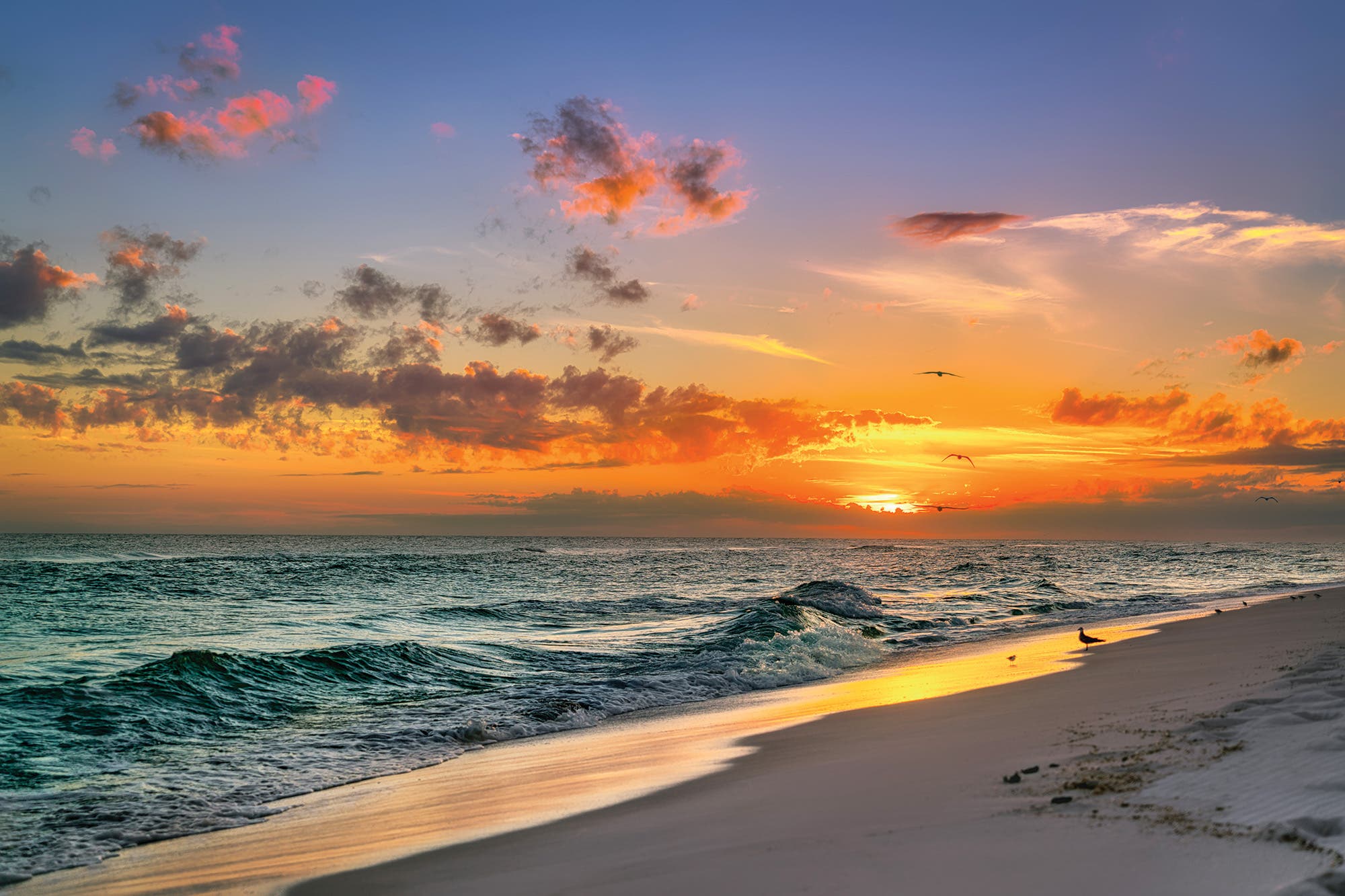 BP0318FEAT_SEEIT_StuartSchaefer Florida trails to see