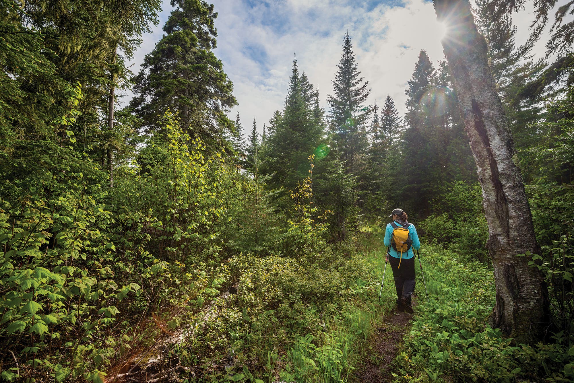 Michigan trails to see