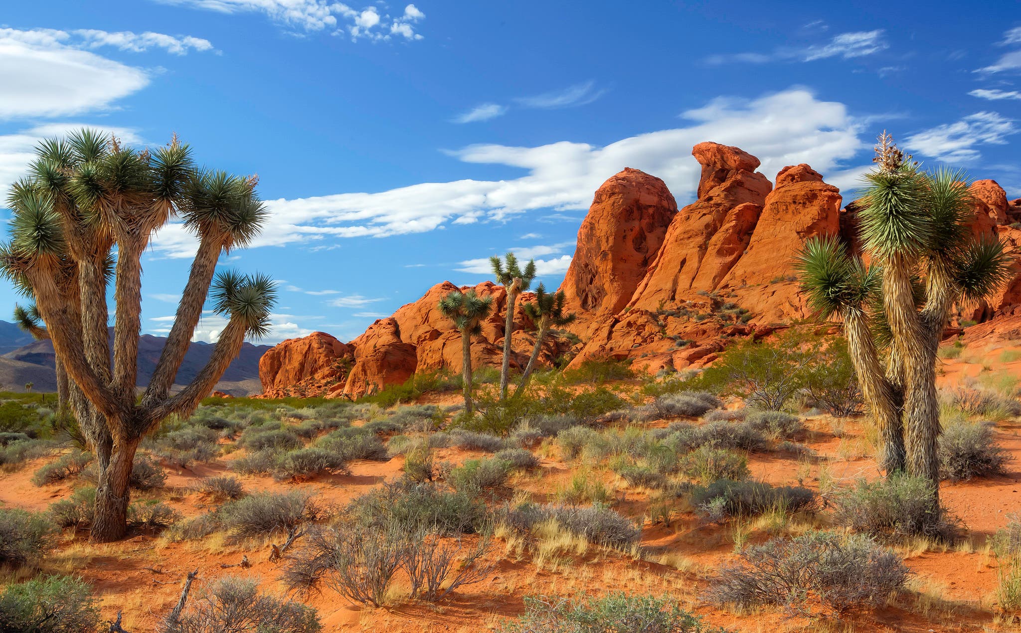 Gold Butte National Monument