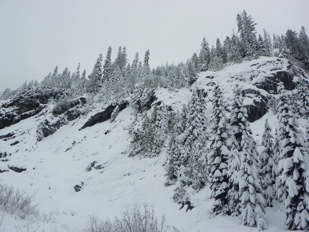 Missing Teen Snowshoers Found Dead Near Alpental