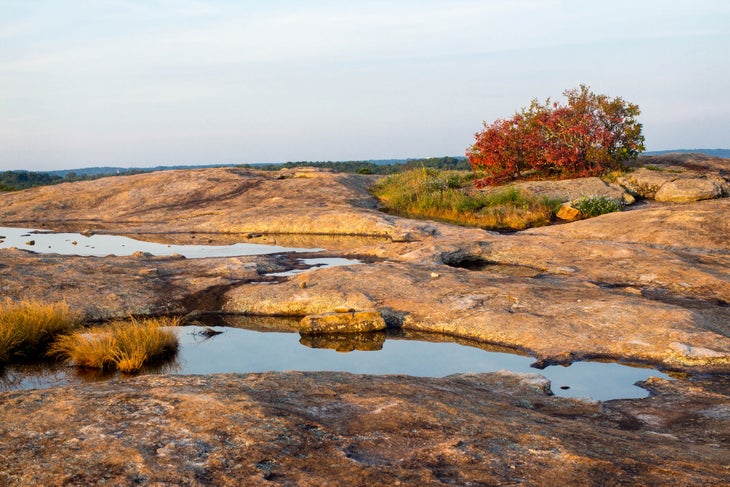 arabia mountain None