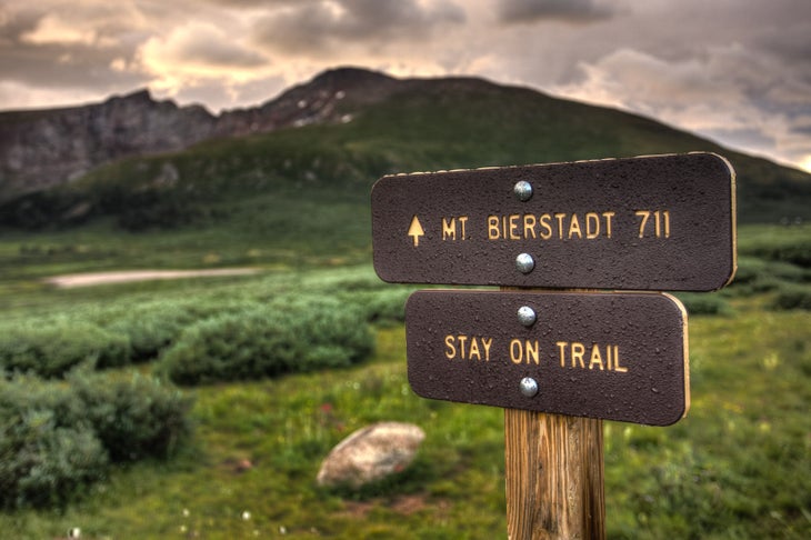 bierstadt None