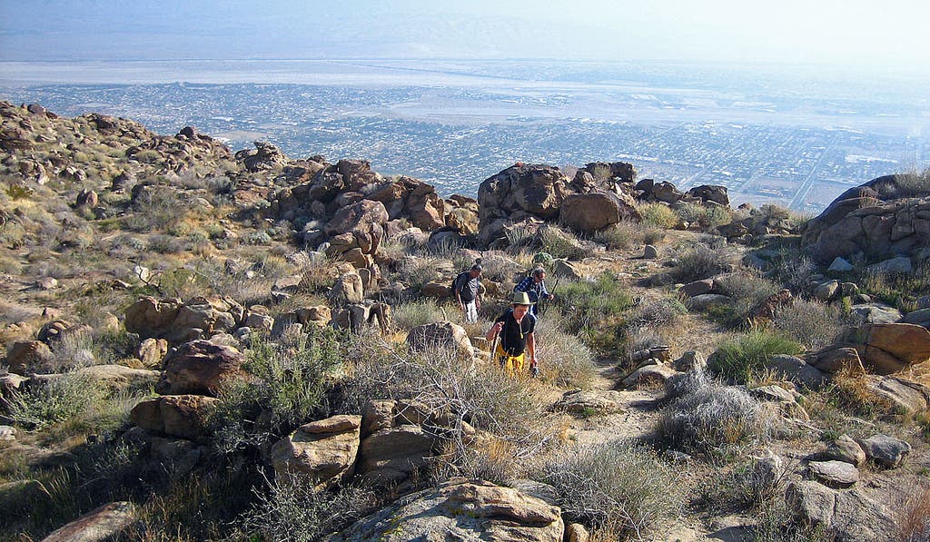 cactus to clouds None