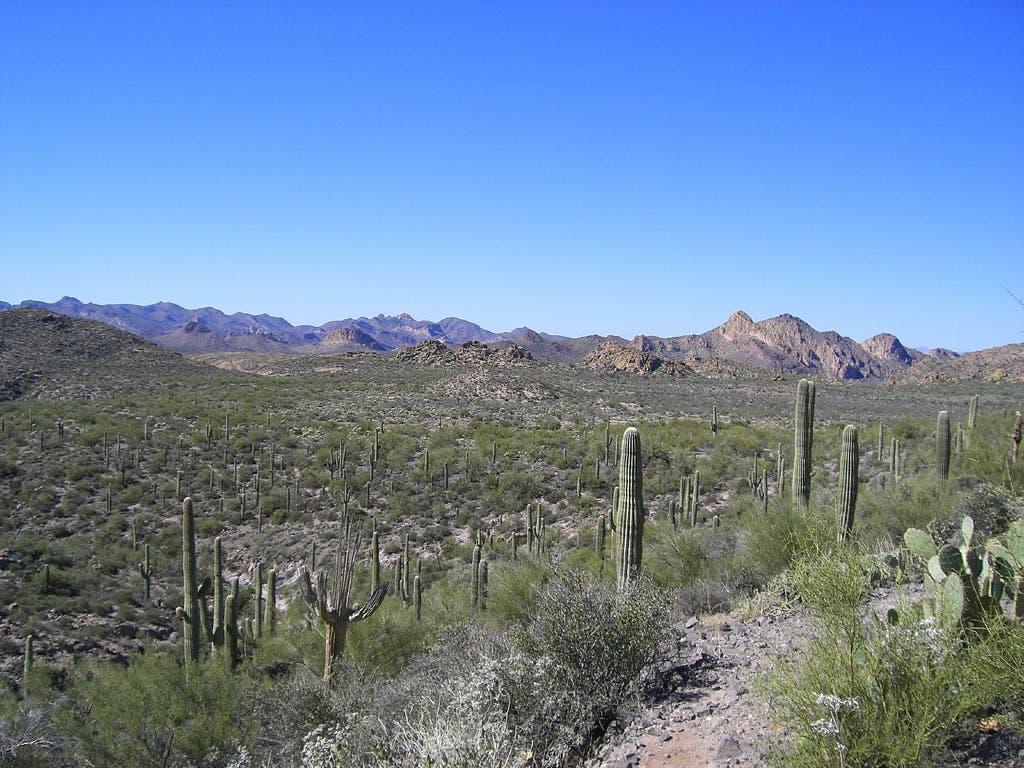 garden valley az None