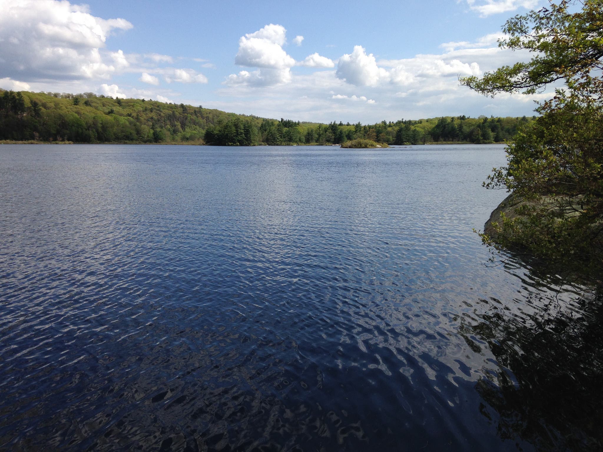 island pond harriman None