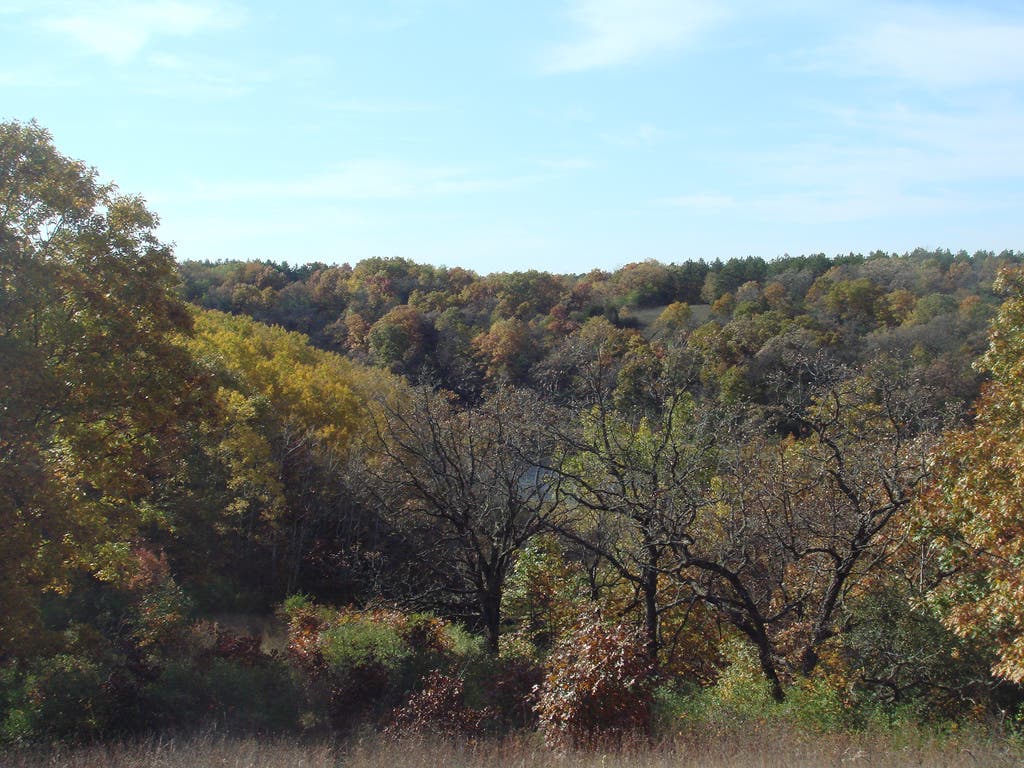Chicago's Top 6 Dayhikes
