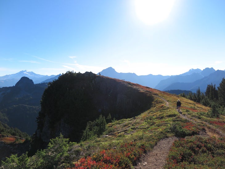 mt dickerman None