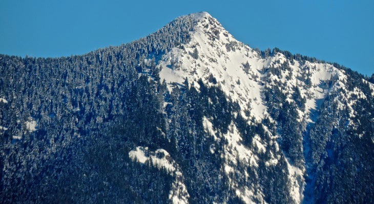 teneriffe None