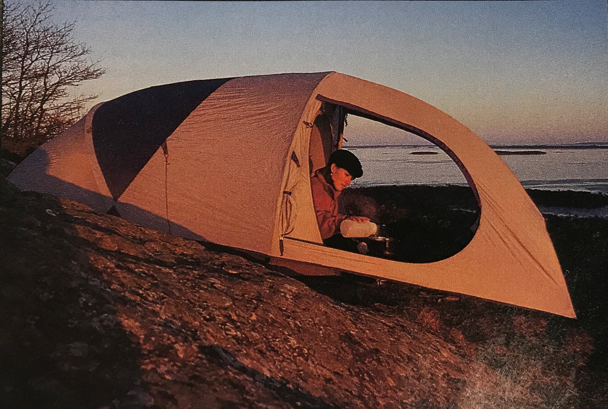 editors choice 1994 preying mantis tent