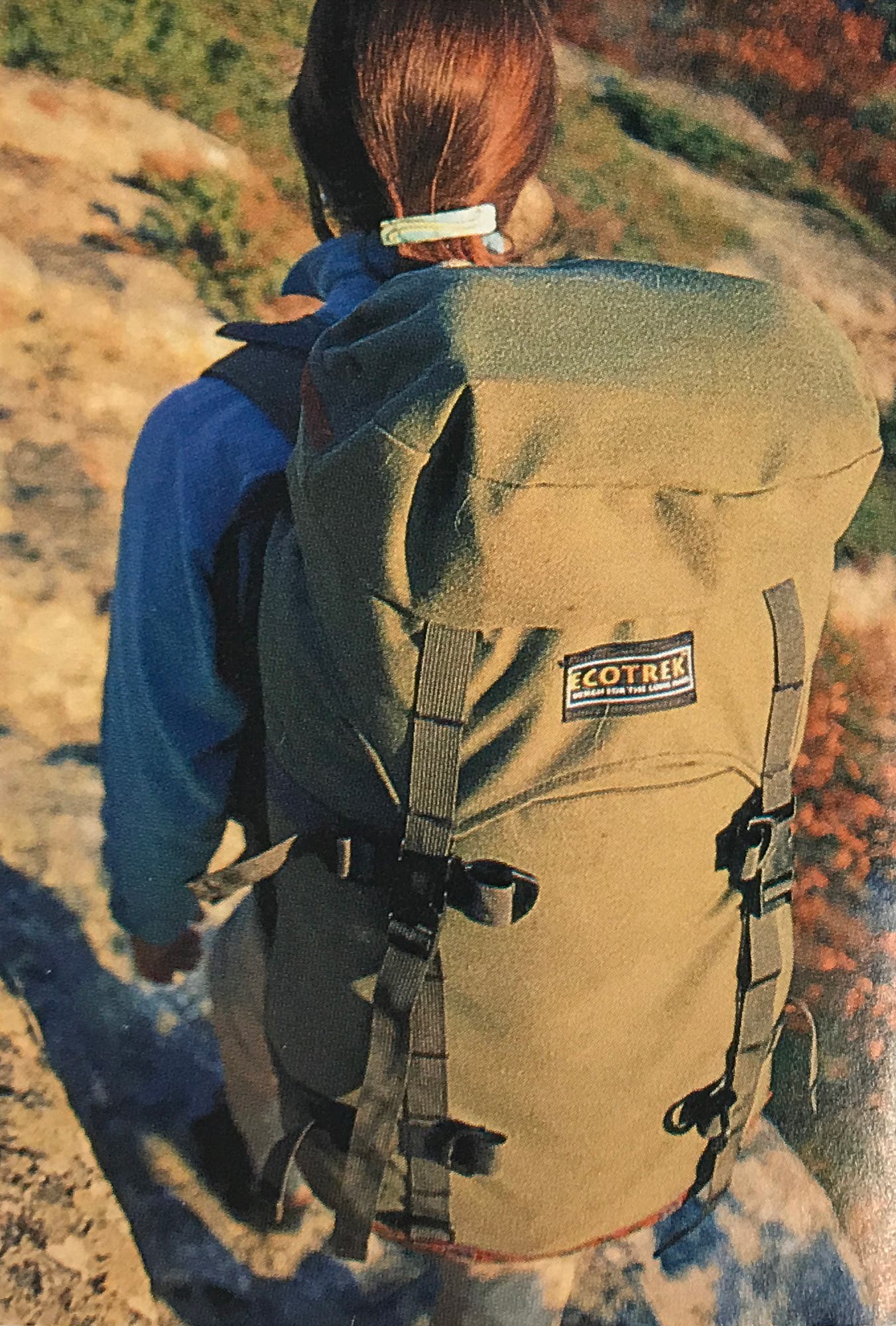 editors choice 1995 ecotrek backpack
