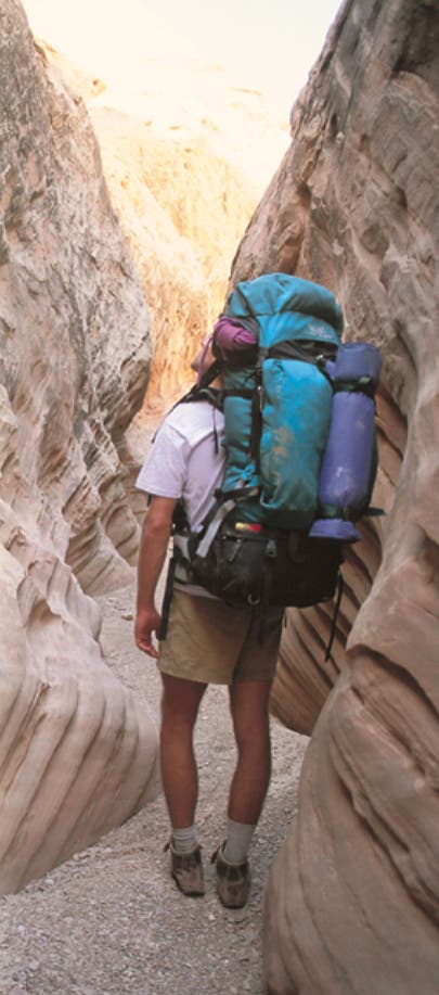 Editors Choice 1999 dana pack